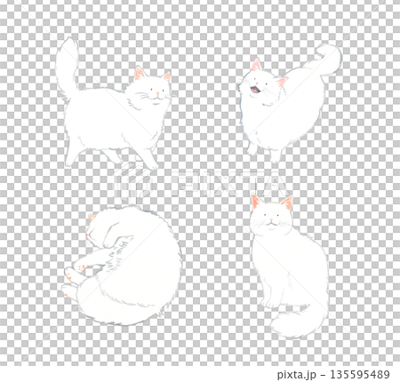 白色の長毛猫のセット ペット・動物の手描き水彩イラスト素材 白色の長毛猫のセット ペット・動物の手描き水彩イラスト素材 135595489