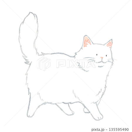 歩く白色の長毛猫 ペット・動物の手描き水彩イラスト素材 歩く白色の長毛猫 ペット・動物の手描き水彩イラスト素材 135595490