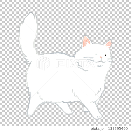 歩く白色の長毛猫 ペット・動物の手描き水彩イラスト素材 歩く白色の長毛猫 ペット・動物の手描き水彩イラスト素材 135595490