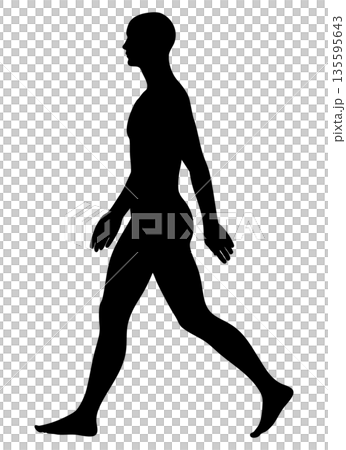 きれいな姿勢で歩く男性のシルエット 全身横向き モノクロ 135595643