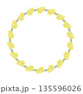 蠟梅の花の円形飾り枠イラスト 135596026