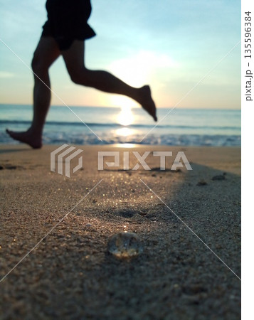 海辺の水クラゲ　ダナンの日の出 135596384