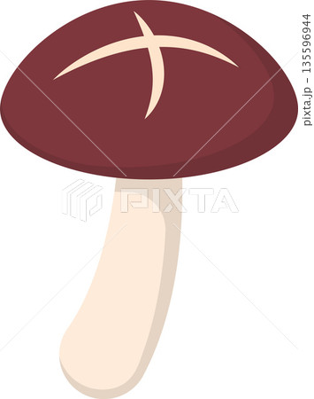 Shiitake Mushroom Flat Illustration. Clean Icon Design Element on Transparent Background 135596944