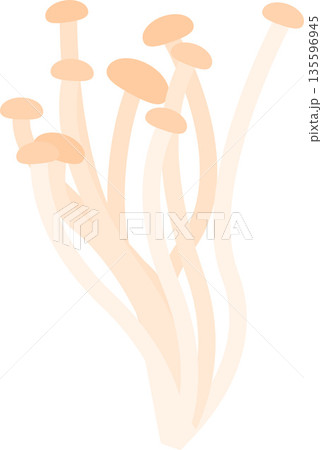 Enoki Mushroom Flat Illustration. Clean Icon Design Element on Transparent Background 135596945