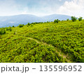 hiking trail through mountain landscape. carpathians under sky with clouds. scenery with green grass and rolling hills. image of remote place for outdoor adventures. concept for wellness and escape 135596952