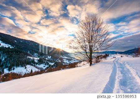 beautiful winter landscape with snow covered hills on sunny morning. serene rural scene in carpathian mountains. rolling countryside area in ukraine. christmas backdrop for holiday or vacation concept beautiful winter landscape with snow covered hills on sunny morning. serene rural scene in carpathian mountains. rolling countryside area in ukraine. christmas backdrop for holiday or vacation concept 135596953