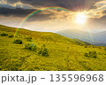 wonderful summer landscape of mountains in at sunset. scenic alpine view of rolling hills and green meadow in evening light. cloudy sky. storytelling cinematic image under the rainbow 135596968