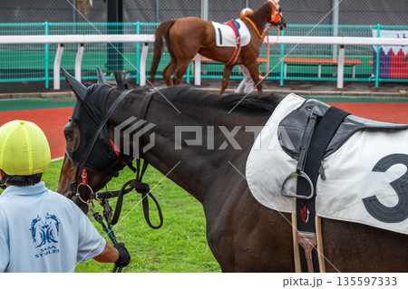 競馬の風景 競馬の風景 135597333