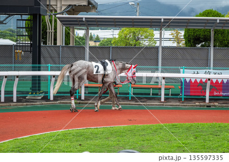 競馬の風景 競馬の風景 135597335