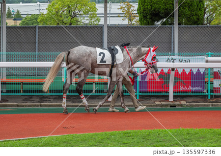 競馬の風景 競馬の風景 135597336