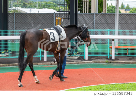 競馬の風景 135597343
