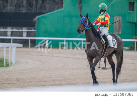 競馬の風景 135597363
