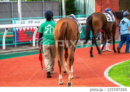 競馬の風景 135597389
