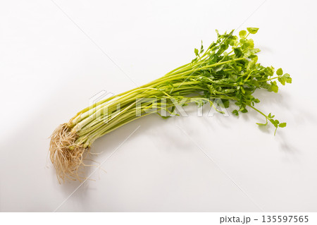 仙台せり　 135597565