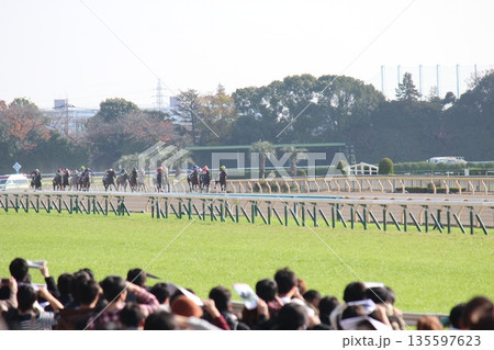 疾走する競走馬と騎手の姿 135597623