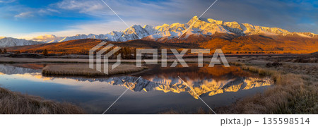 Golden autumn mountains glow over calm lake with snow peaks reflected in still water in Altai range Golden autumn mountains glow over calm lake with snow peaks reflected in still water in Altai range 135598514
