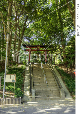 氷川女體神社 鳥居 埼玉県さいたま市 氷川女體神社 鳥居 埼玉県さいたま市 135598653