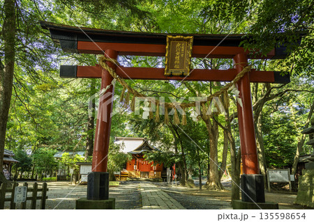 氷川女體神社 鳥居 埼玉県さいたま市 氷川女體神社 鳥居 埼玉県さいたま市 135598654