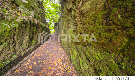 Vereda dos Balcoes PR11 Mountain Footpath, Madeira, Portugal Vereda dos Balcoes PR11 Mountain Footpath, Madeira, Portugal 135598736