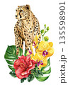 Cheetah with tropical flowers watercolor illustration wild animal with hibiscus orchids and jungle leaves isolated 135598901