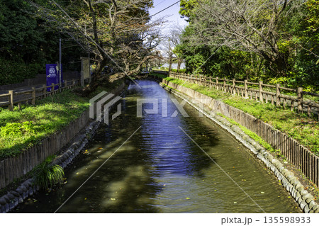 見沼氷川公園 見沼代用水西縁 埼玉県さいたま市 見沼氷川公園 見沼代用水西縁 埼玉県さいたま市 135598933
