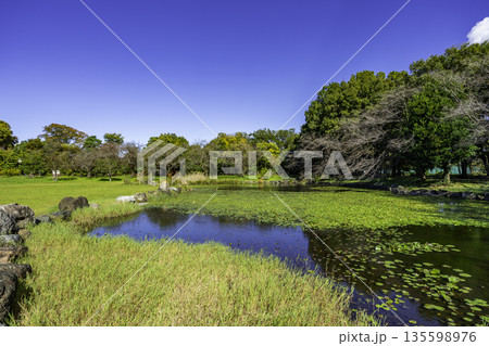 見沼氷川公園　埼玉県さいたま市 135598976