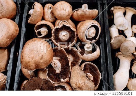 Fresh mushrooms displayed at grocery market. Concept of healthy food, organic products and vegetarian nutrition Fresh mushrooms displayed at grocery market. Concept of healthy food, organic products and vegetarian nutrition 135599101
