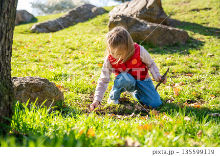 Little girl exploring nature in city park during spring walk. Curious child interacting with soil, leaves and landscape in outdoor environment. 135599119