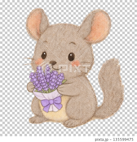 一幅用色鉛筆繪製的龍貓手持薰衣草的插圖 135599475