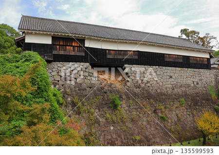 歴史と自然が調和する加藤清正ゆかりの熊本城　《熊本県》 135599593