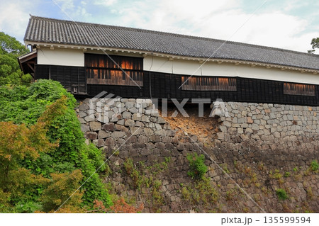 歴史と自然が調和する加藤清正ゆかりの熊本城　《熊本県》 135599594