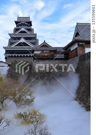 歴史と自然が調和する加藤清正ゆかりの熊本城　《熊本県》 135599601