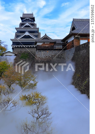 歴史と自然が調和する加藤清正ゆかりの熊本城　《熊本県》 135599602