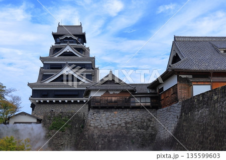 歴史と自然が調和する加藤清正ゆかりの熊本城　《熊本県》 135599603