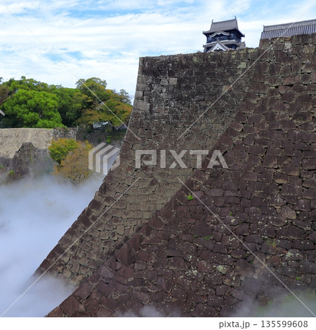 歴史と自然が調和する加藤清正ゆかりの熊本城　《熊本県》 135599608