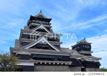 歴史と自然が調和する加藤清正ゆかりの熊本城　《熊本県》 135599610