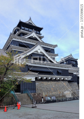 歴史と自然が調和する加藤清正ゆかりの熊本城　《熊本県》 135599615