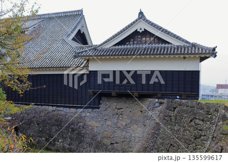 歴史と自然が調和する加藤清正ゆかりの熊本城 《熊本県》 歴史と自然が調和する加藤清正ゆかりの熊本城 《熊本県》 135599617