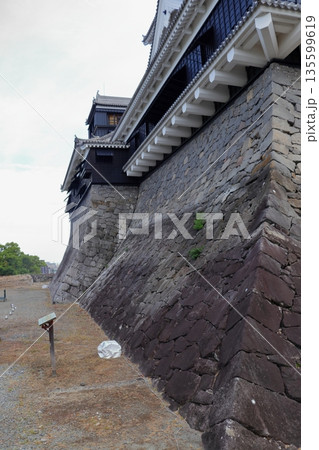 歴史と自然が調和する加藤清正ゆかりの熊本城　《熊本県》 135599619
