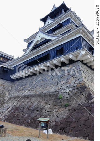 歴史と自然が調和する加藤清正ゆかりの熊本城　《熊本県》 135599620