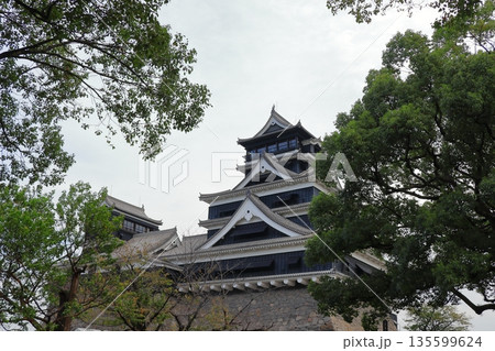 歴史と自然が調和する加藤清正ゆかりの熊本城　《熊本県》 135599624