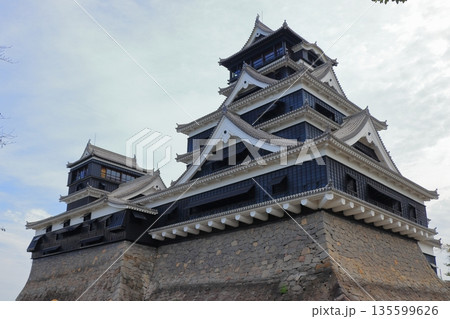 歴史と自然が調和する加藤清正ゆかりの熊本城　《熊本県》 135599626