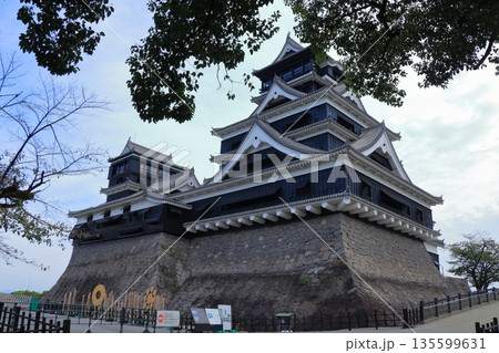 歴史と自然が調和する加藤清正ゆかりの熊本城 《熊本県》 歴史と自然が調和する加藤清正ゆかりの熊本城 《熊本県》 135599631