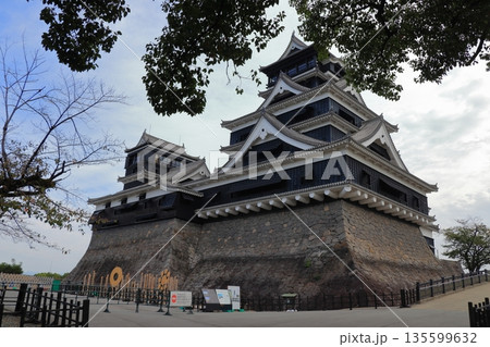 歴史と自然が調和する加藤清正ゆかりの熊本城 《熊本県》 歴史と自然が調和する加藤清正ゆかりの熊本城 《熊本県》 135599632
