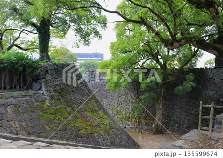 歴史と自然が調和する加藤清正ゆかりの熊本城 《熊本県》 歴史と自然が調和する加藤清正ゆかりの熊本城 《熊本県》 135599674