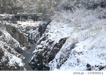冬景色の飛水峡を走る特急ひだ 135600022