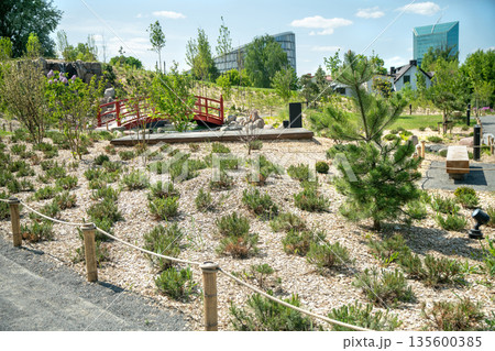 Japanese garden in Vilnius (new young garden) . With pond and a little Rhododendron blossoms 135600385