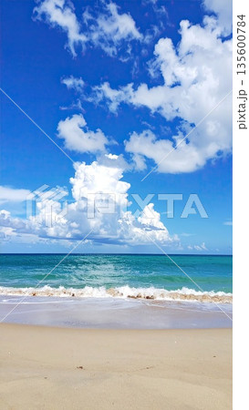 《AI画像》真夏のビーチイメージ 135600784