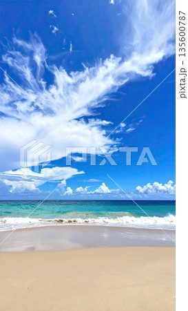 《AI画像》真夏のビーチイメージ 135600787