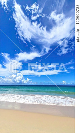 《AI画像》真夏のビーチイメージ 135600788
